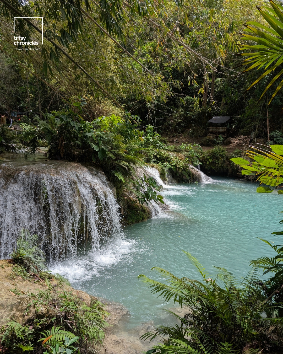 Cambugahay Falls | Siquijor Travel Guide: Everything You Need to Know | Tiffsy Chronicles