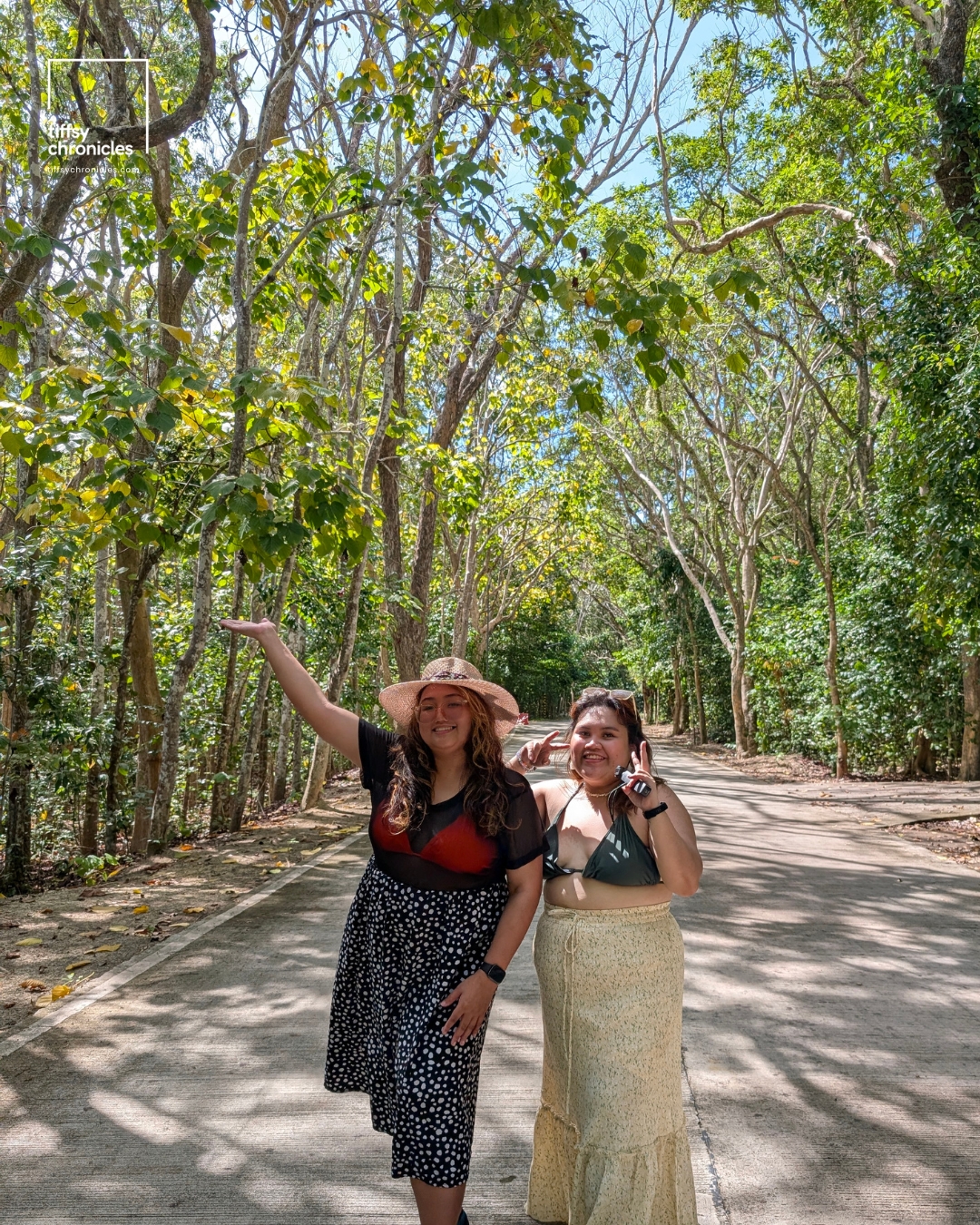 Manmade Mangrove Forest | Siquijor Travel Guide: Everything You Need to Know | Tiffsy Chronicles
