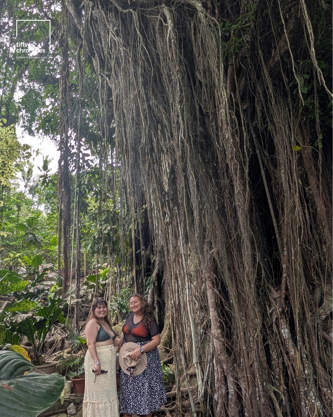 Tree of Life Balete Tree Siquijor | Siquijor Travel Guide: Everything You Need to Know | Tiffsy Chronicles